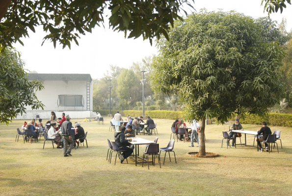 Amrapali and Marigold and Lotus garden at Rangmanch Farms