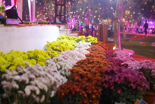 Marigold Garden at Rangmanch Farms