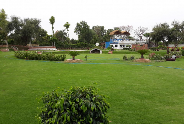 Lawn at Jinga Lala Theme Park