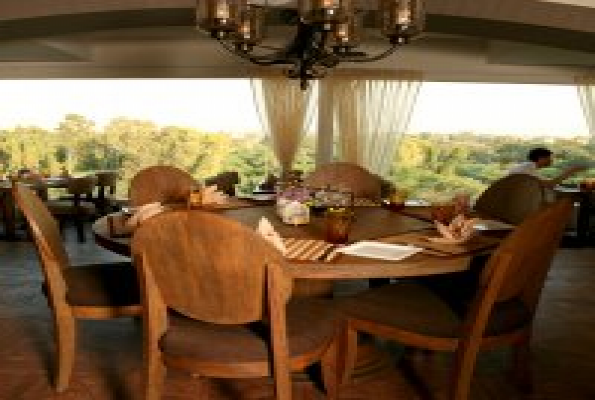 Get Best Prices & Packages of The Patio Restaurant Cafe & Bar at Amour