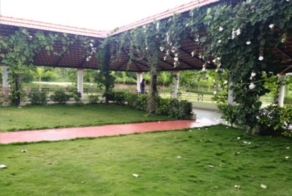 Lawn at Chithravana Farm