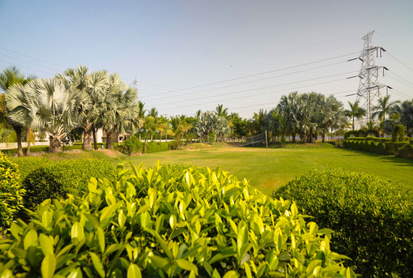 Lawn at Malhaar Resort