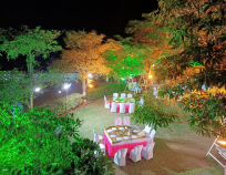 Tropica Farms