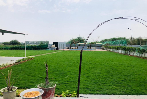 Pool With Lawn at Tosh Resort And Farm House