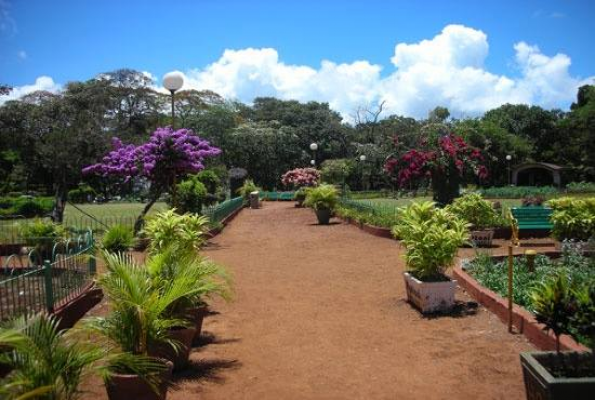 Royal Garden