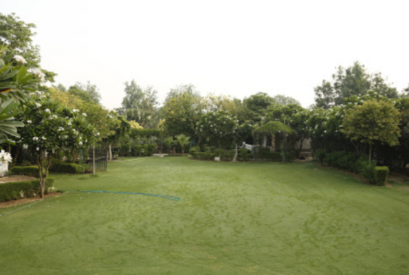 Lawn at Botanix Nature Resort