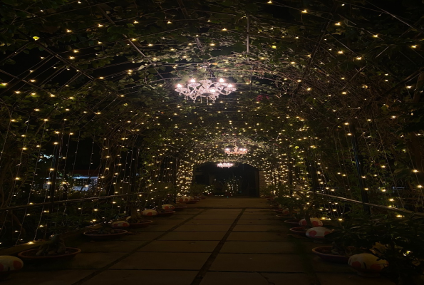 The Vishwanath Farms 5