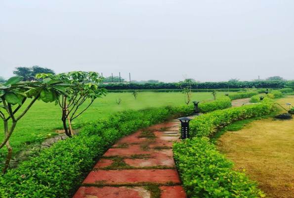 Greenland Farm