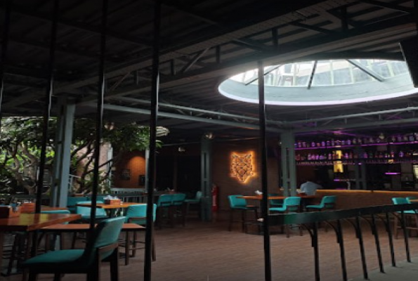 Fat Owl Gastropub
