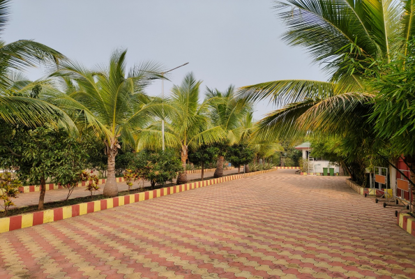 Lawn 1 at Sapphero Resorts