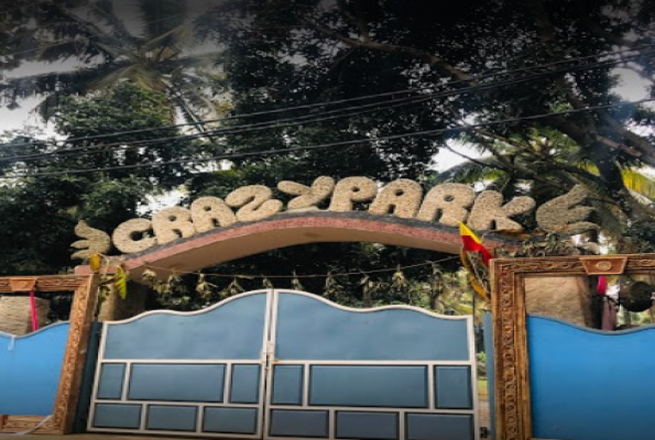 Crazy Park