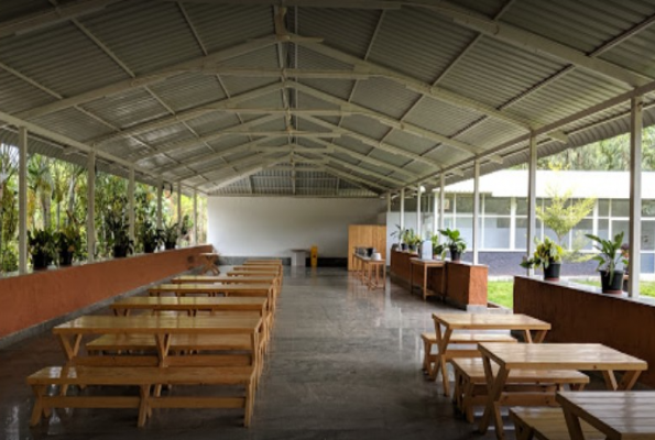 Lago Palms Resort