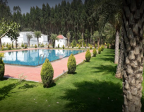 Lago Palms Resort