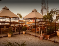 D Wood Cafe D Wood Cafe