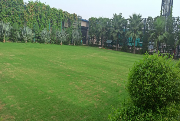 Green Lawn at Prism Ball Room