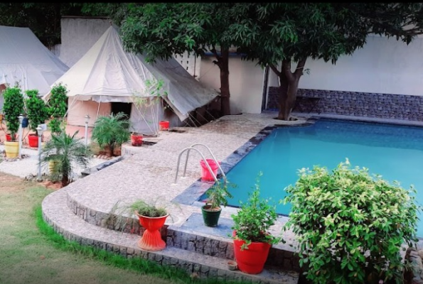 Poolside at Neel Amar Garden Restaurant And Camps