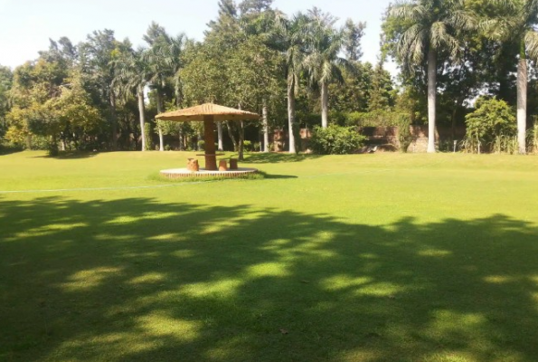 Lawn 1 at Aggarwal Farms