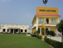 Green Land Farms