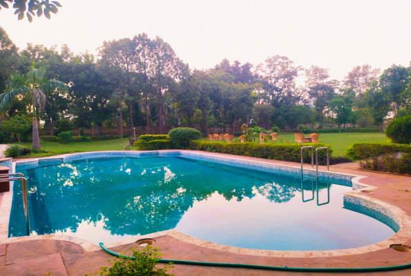 Poolside at Melody Farm