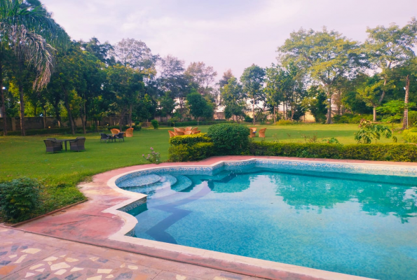 Poolside at Melody Farm