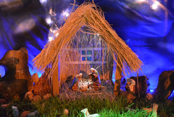 Willingdon Catholic Gymkhana 5