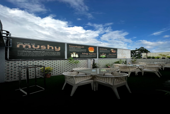 Mushmush Inspired Cuisine And Super Bar