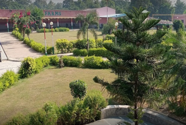 Lawn at  M K Farmhouse