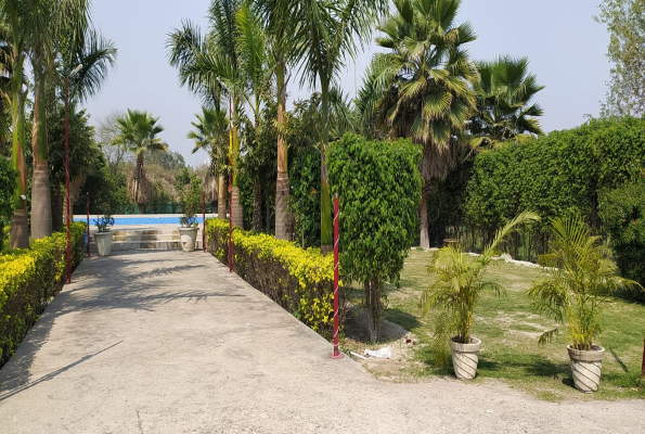 Advick Boutique Farm