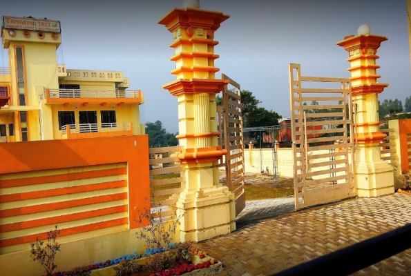 Tamarind Tree Marriage Lawn 4