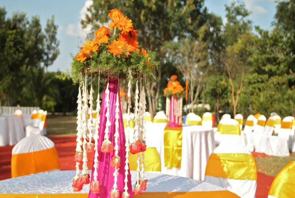 Ankit Vista Green Village
