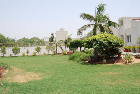 R.K Garden