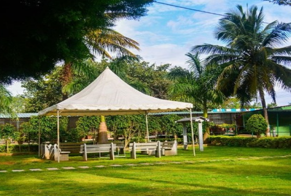 Lawn at Gubbi Goodu Veg Resort