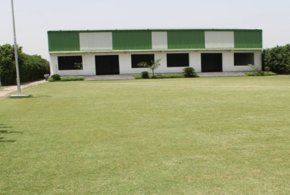 Lawn at Pari Farm