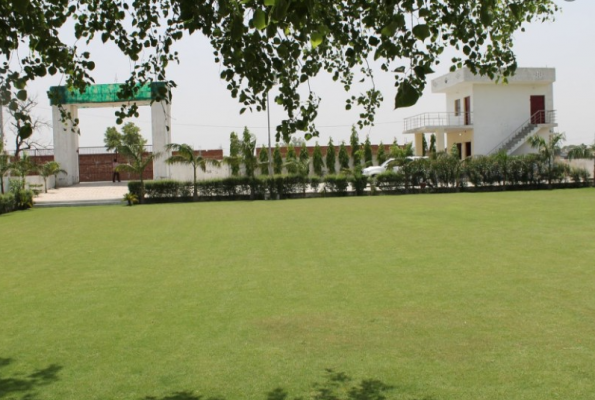 Lawn at Pari Farm