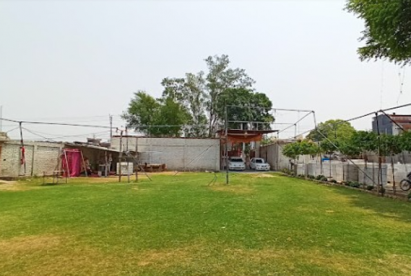 Lawn at Chitra Lawn