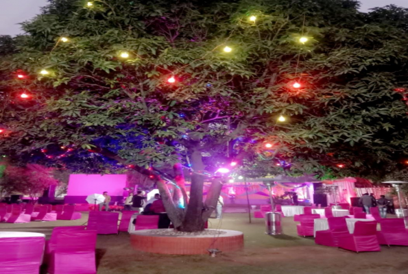 Party Lawn at The Mango Tree By Shay Hospitality