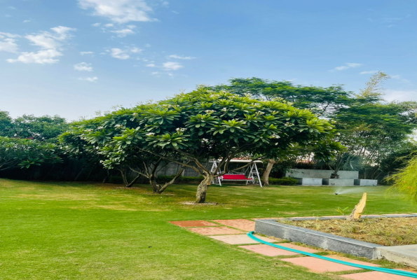 The Mango Tree By Shay Hospitality