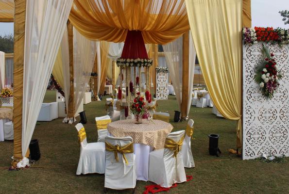 The Stellar Gymkhana