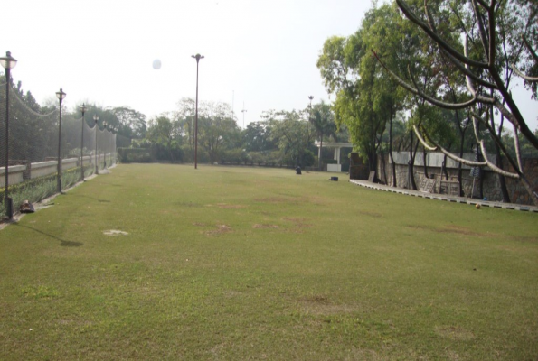 The Stellar Gymkhana