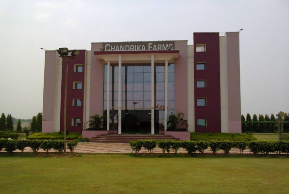 Roof Top at Chandrika Farms