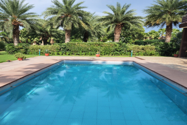 Royal Orchid Farms
