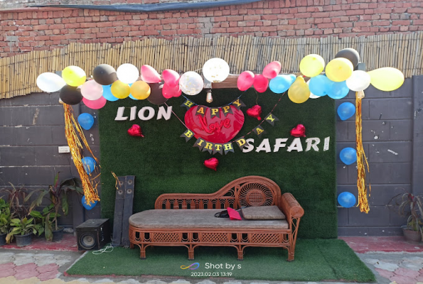 Lion Safari