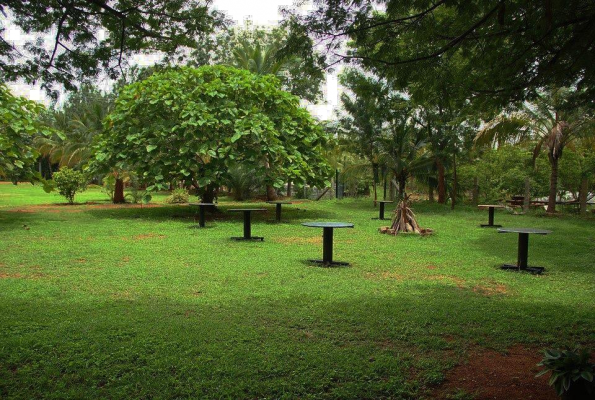 Vanaa The Heritage Farm