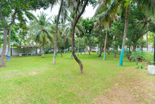 Coconut Grove at Shelter Beach Resorts