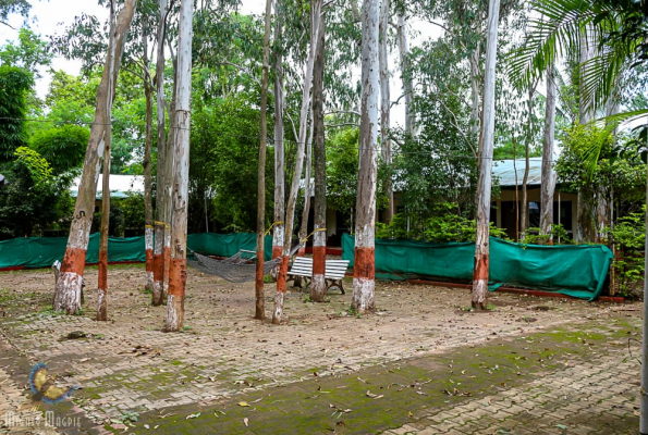 Orchard Resort