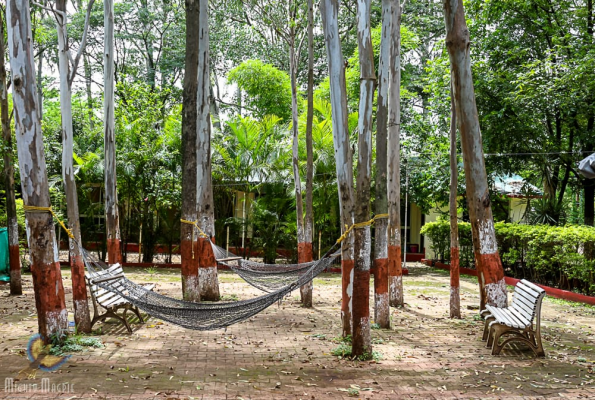 Orchard Resort