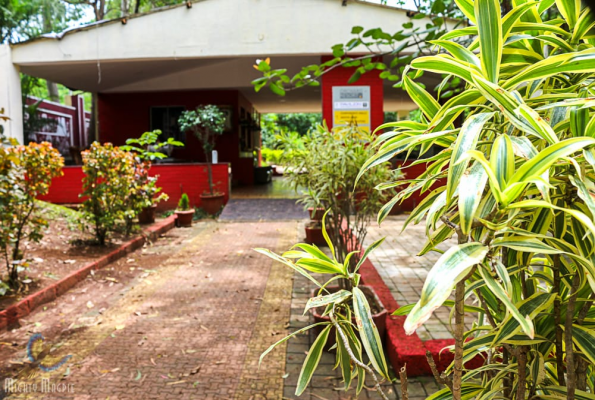 Orchard Resort