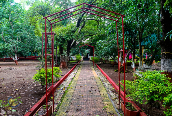Orchard Resort