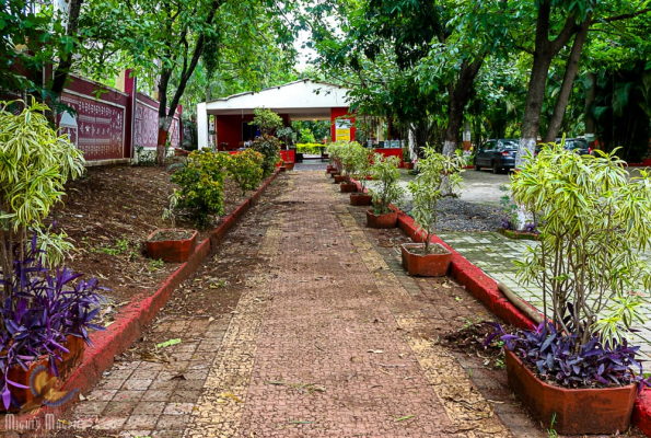 Orchard Resort