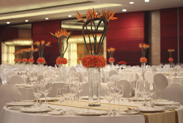 The Leela Ambience